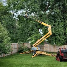 Best Palm Tree Trimming  in Geneva, IL