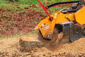 Best Utility Line Clearance  in Geneva, IL