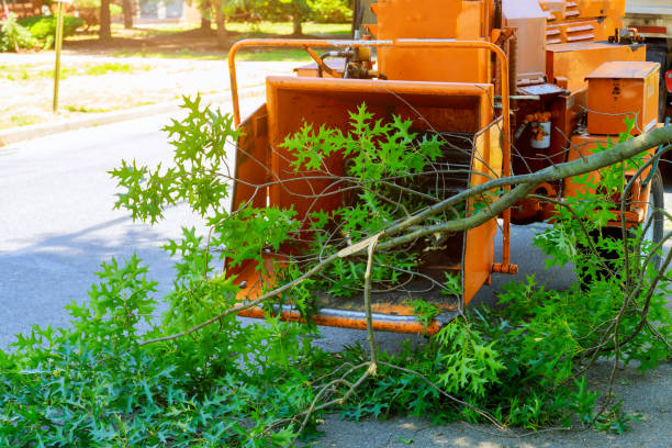 Best Lawn Maintenance Plans  in Geneva, IL