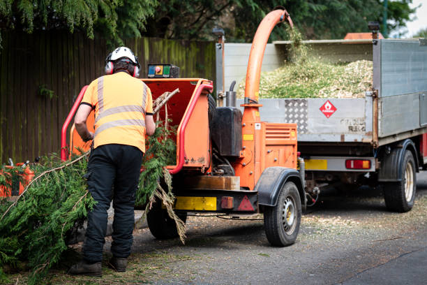 Best Tree Preservation Services  in Geneva, IL