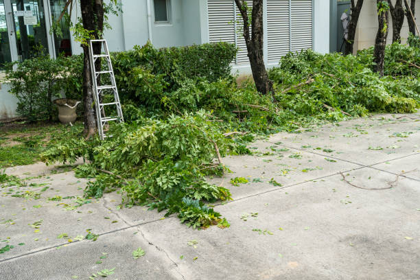 Organic Lawn Care Solutions in Geneva, IL